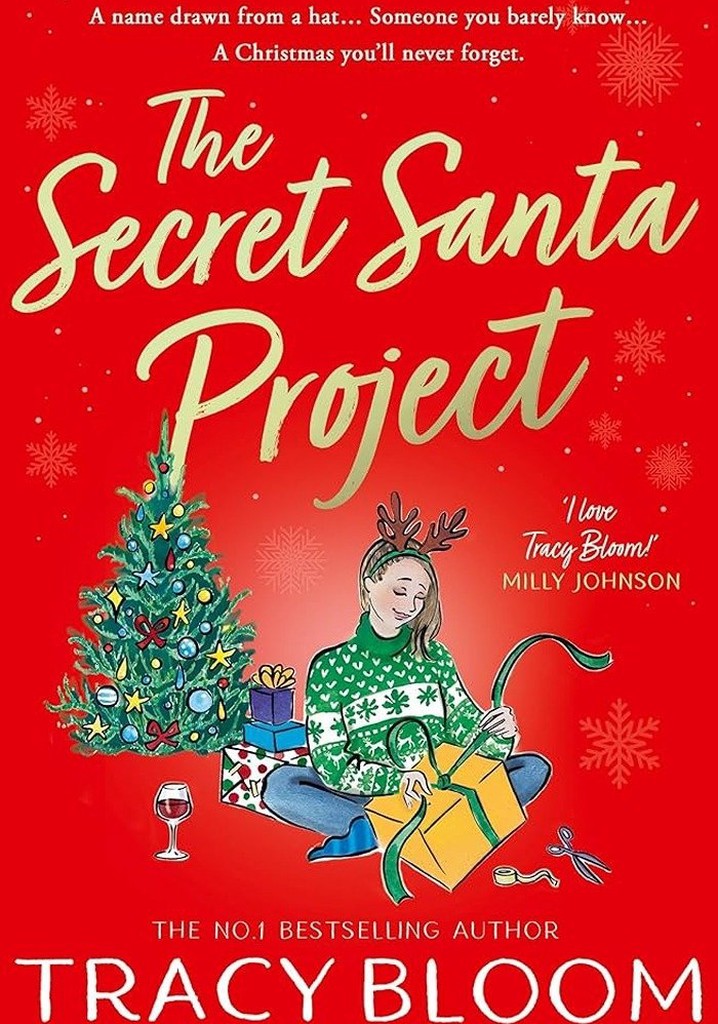 The Secret Santa Project poster