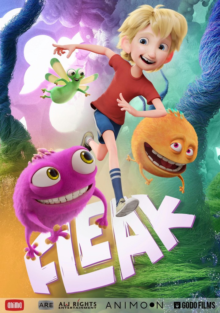 Fleak poster