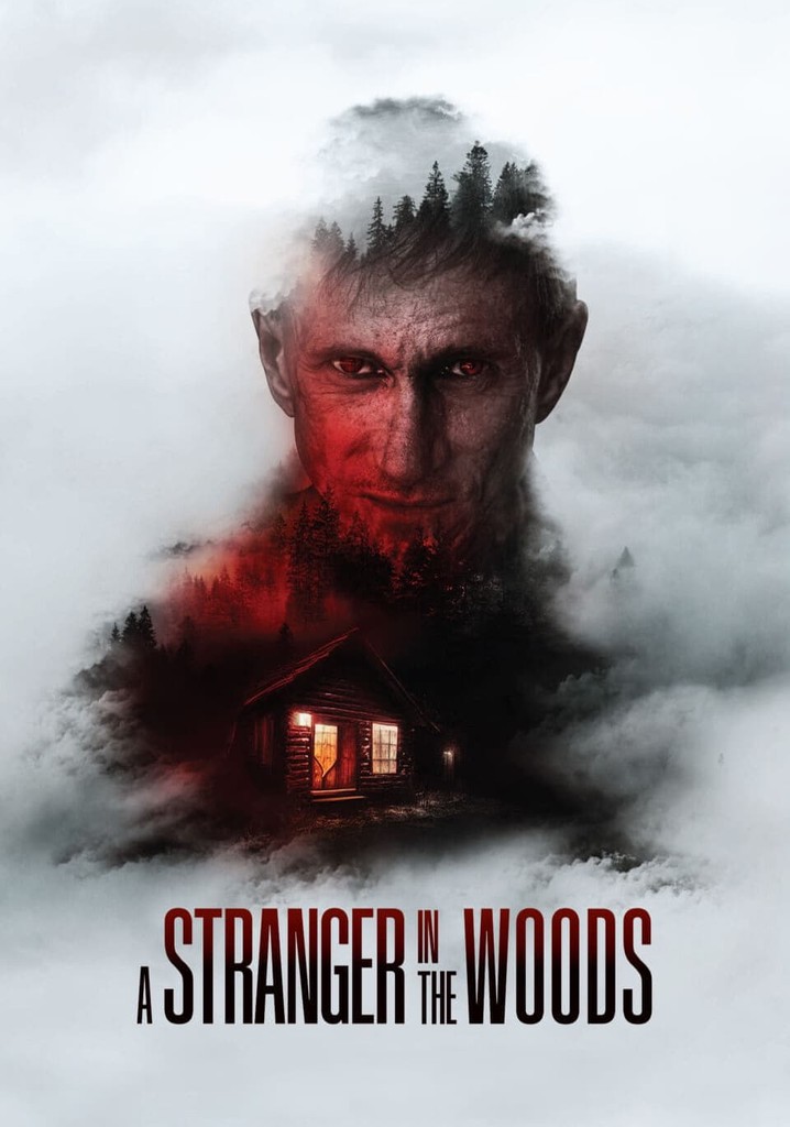 A Stranger in the Woods poster