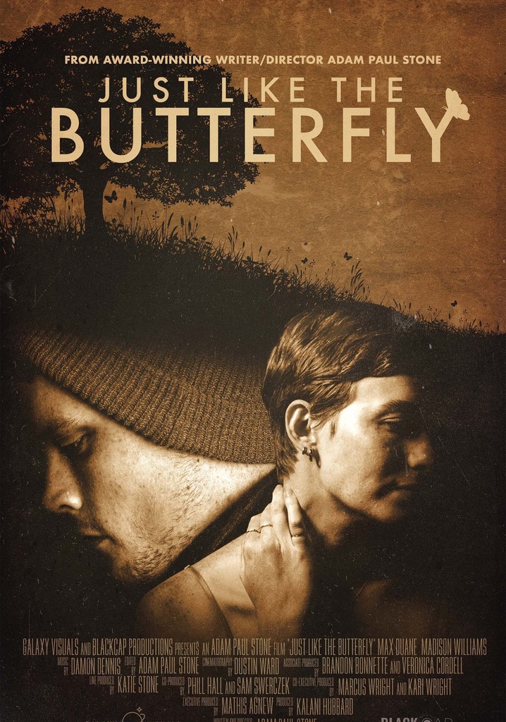 Just Like The Butterfly poster