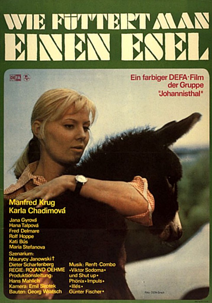 How Do You Feed A Donkey? poster
