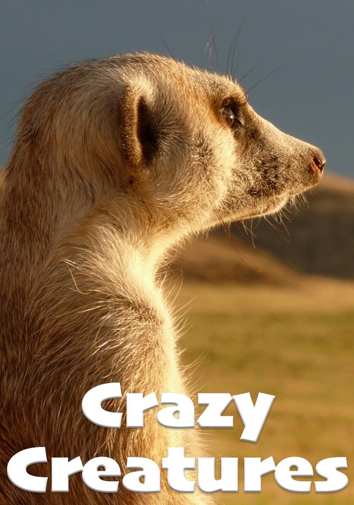 Crazy Creatures poster