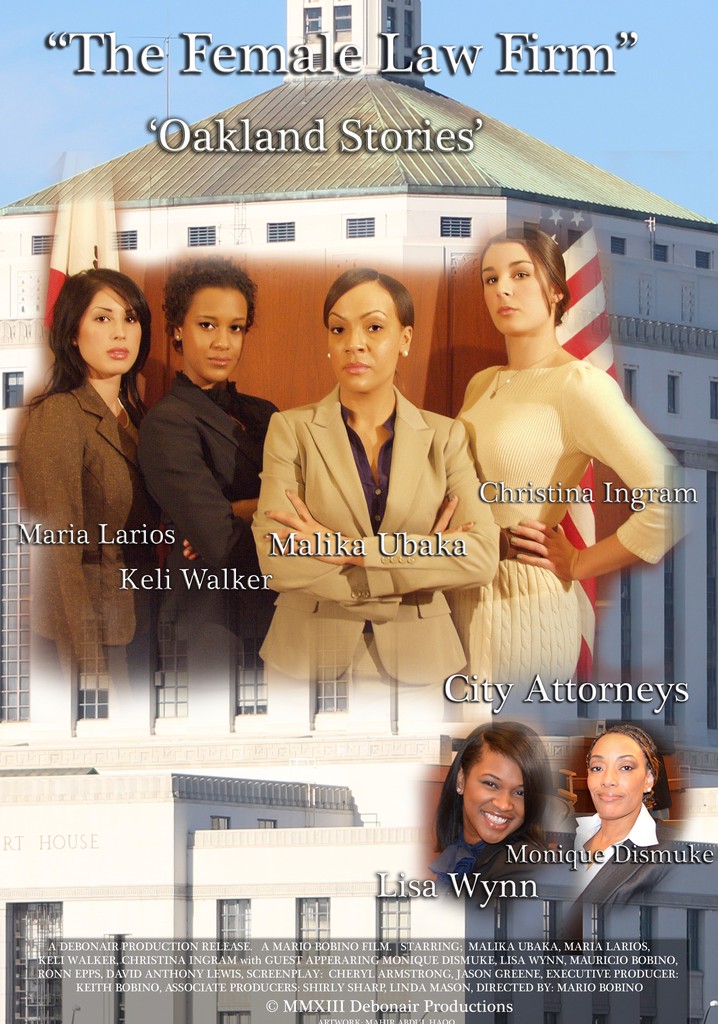 The Female Law Firm poster