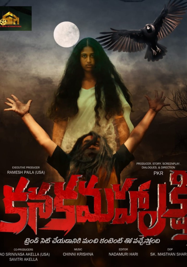 Kanakamahalakshmi poster