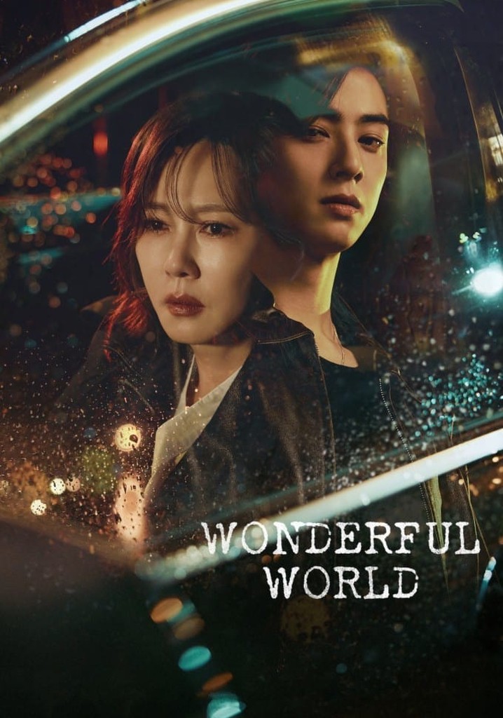 Wonderful World poster