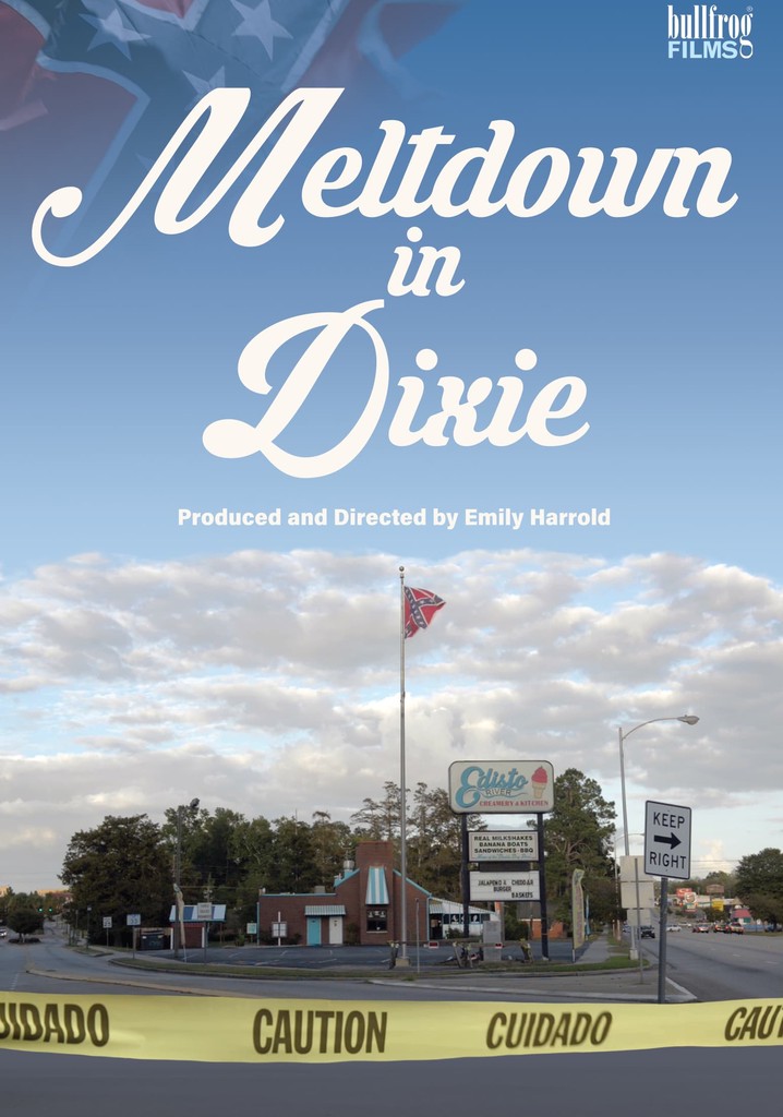 Meltdown in Dixie poster