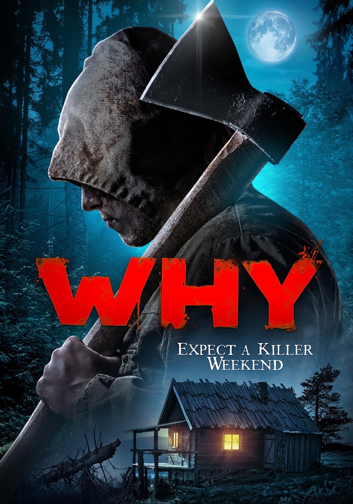 Why? poster