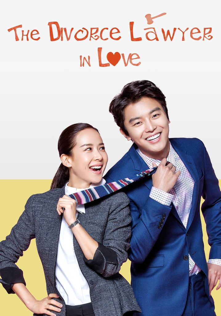 Divorce Lawyer in Love poster