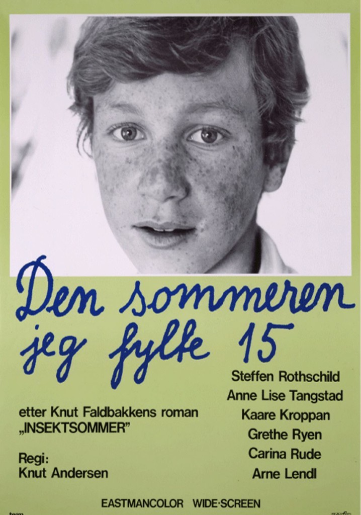 The Summer I Turned 15 poster
