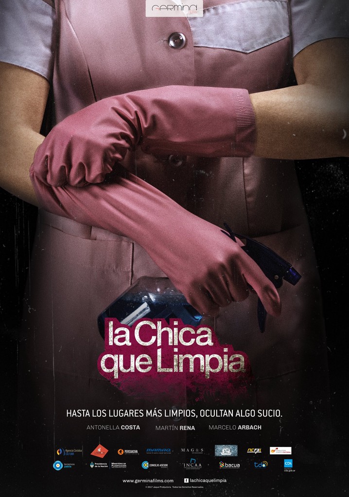 The Cleaning Lady poster