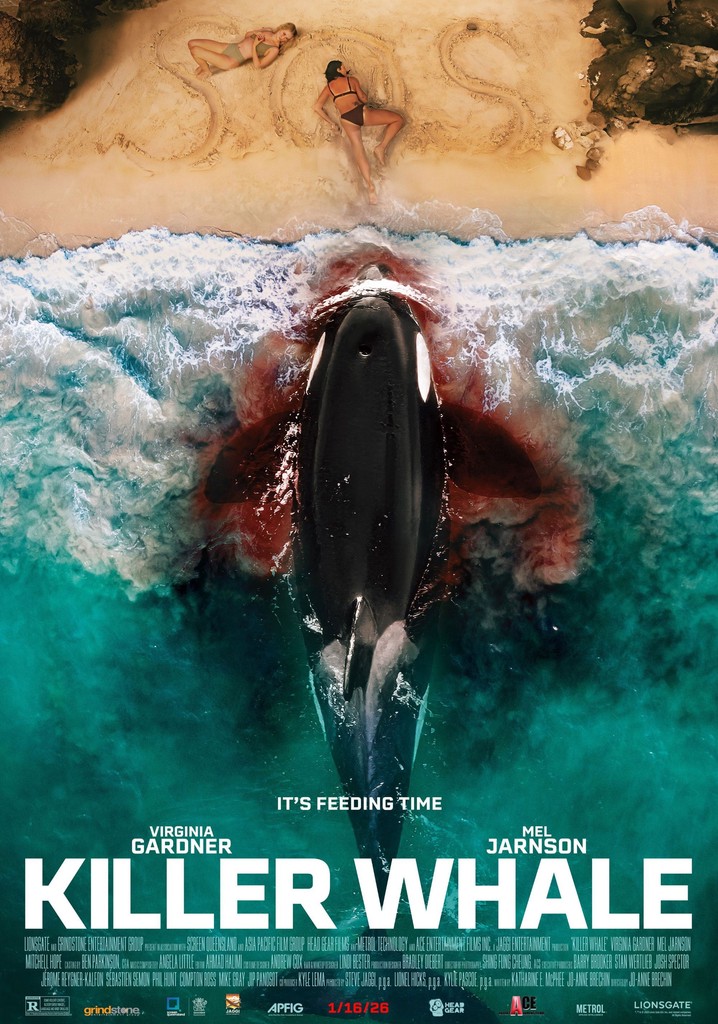 Killer Whale poster