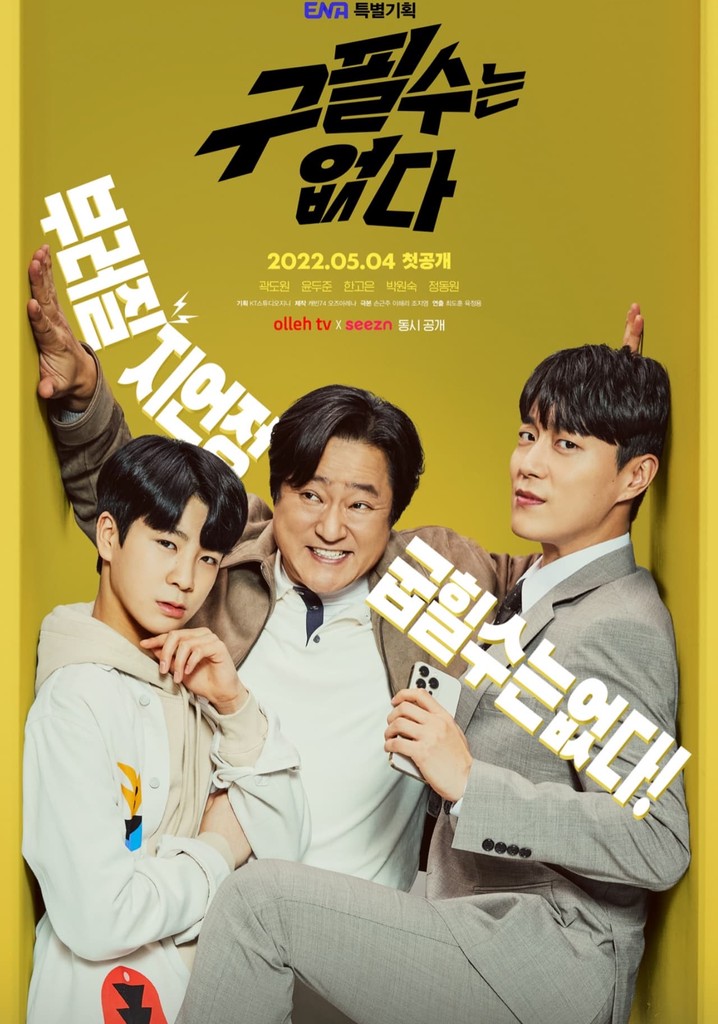 Never Give Up poster