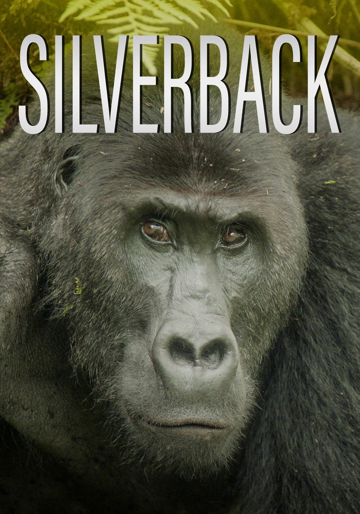 Silverback poster