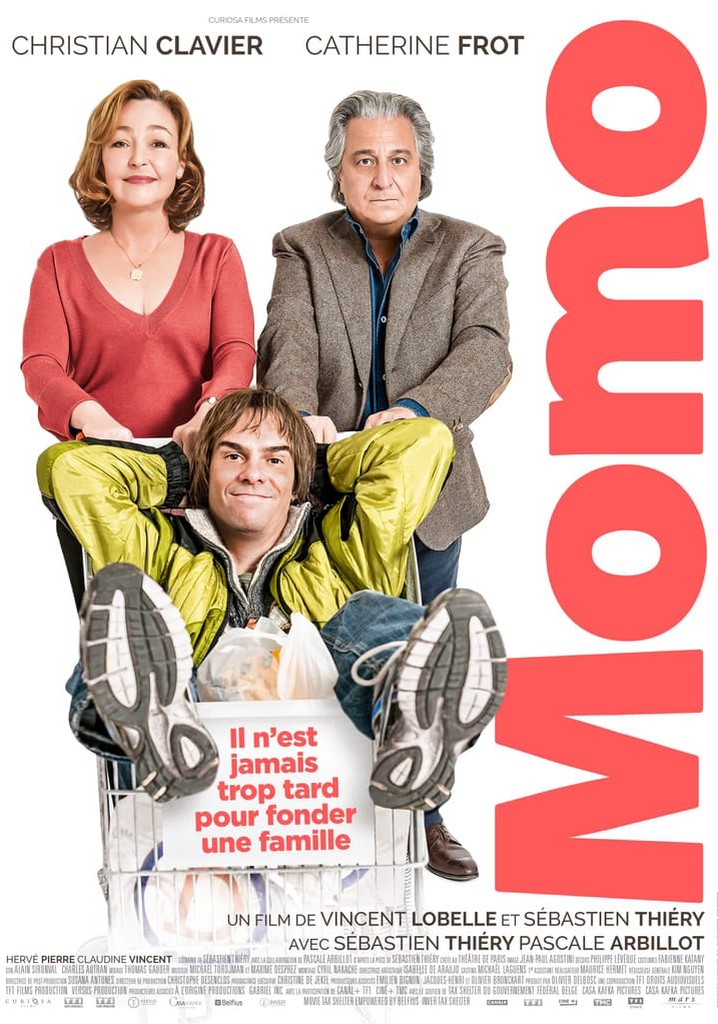 Finding Momo poster