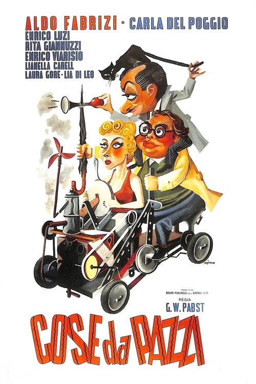 Cose da pazzi poster