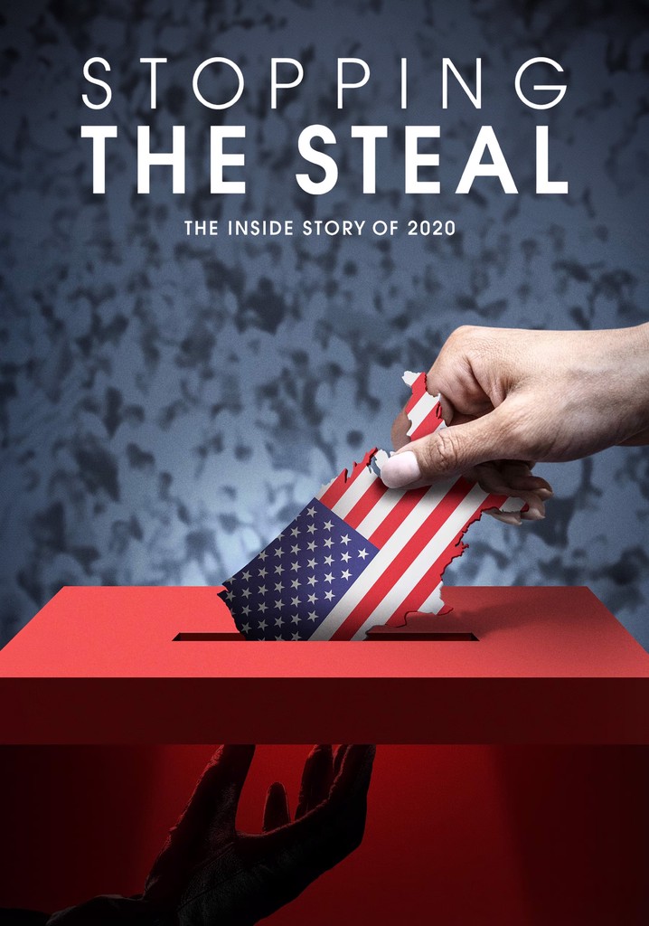 Stopping the Steal poster
