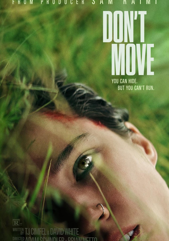 Don't Move poster