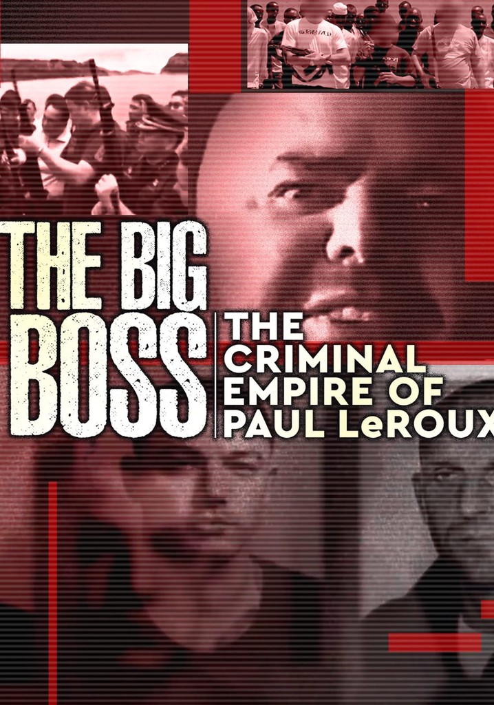 The Big Boss: A 21st Century Criminal poster