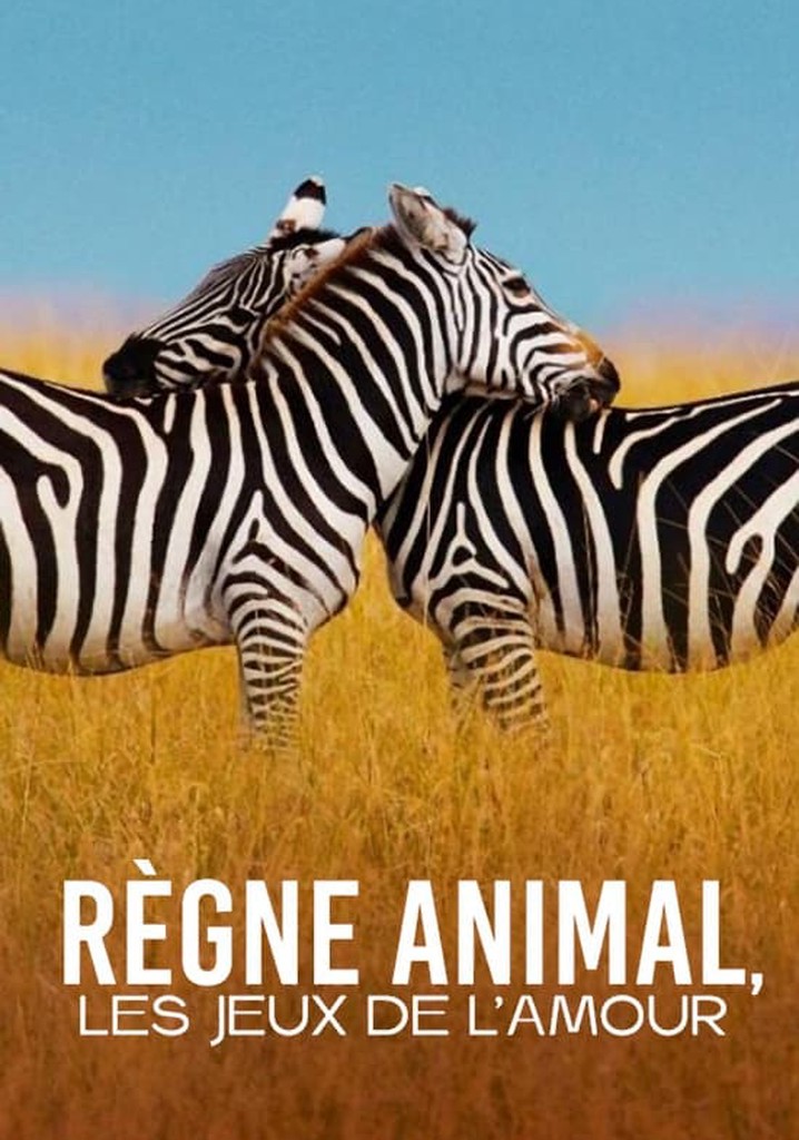 Règne animal, les jeux de l'amour poster