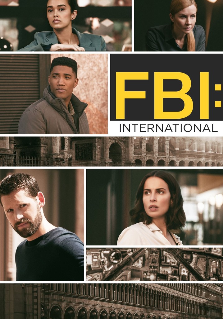FBI: International poster