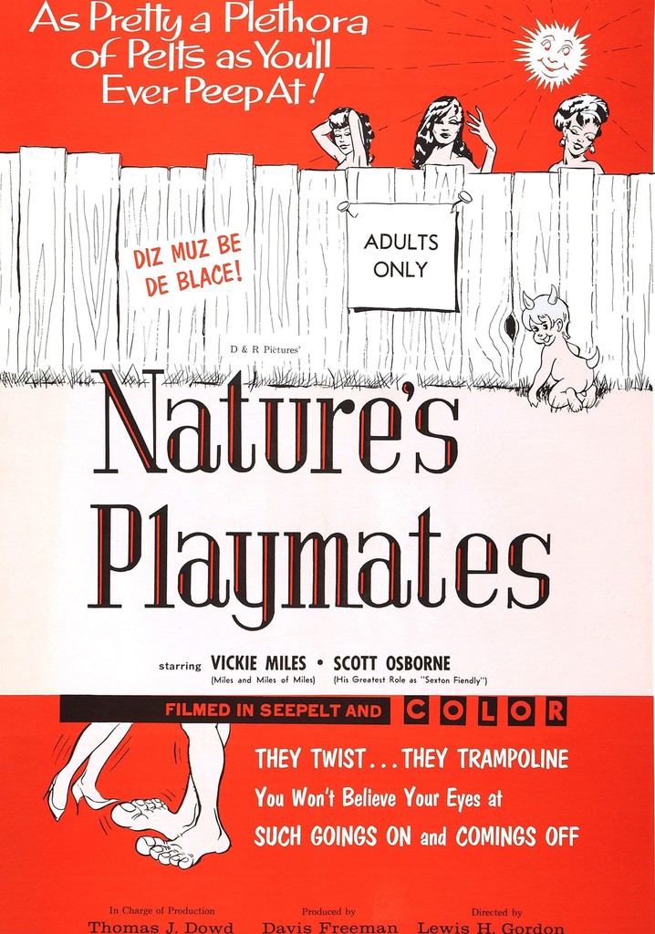 Nature's Playmates poster