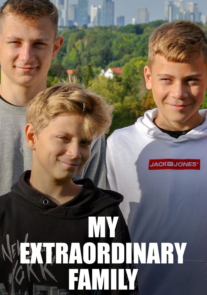 Meine alles außer gewöhnliche Familie poster
