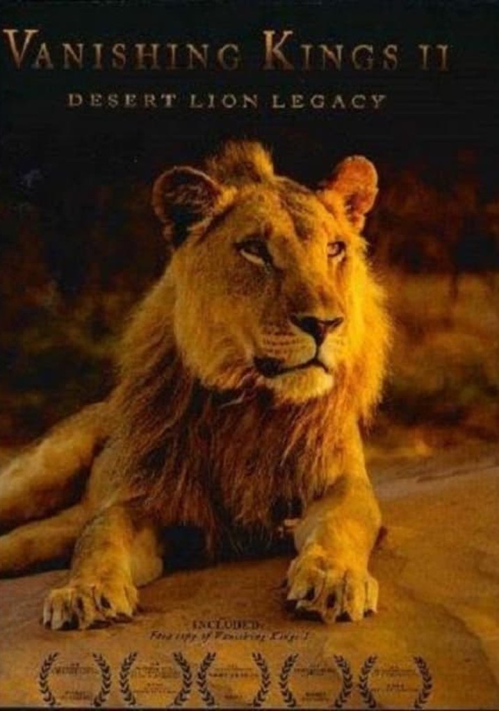 Desert Lions of the Namib - Departure and Return poster