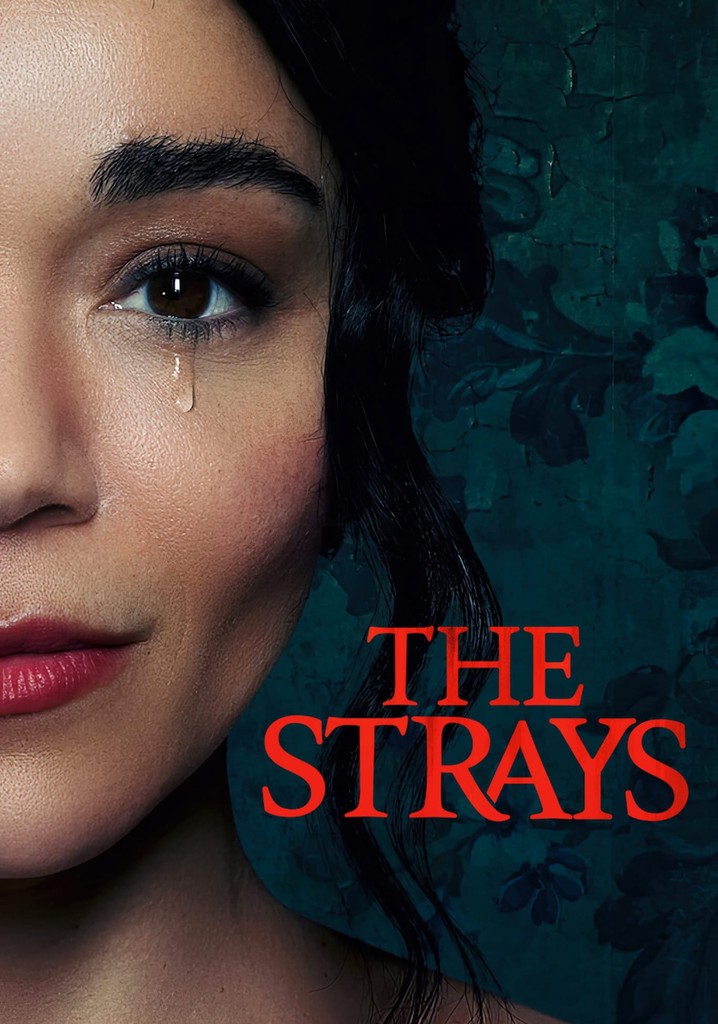 The Strays poster
