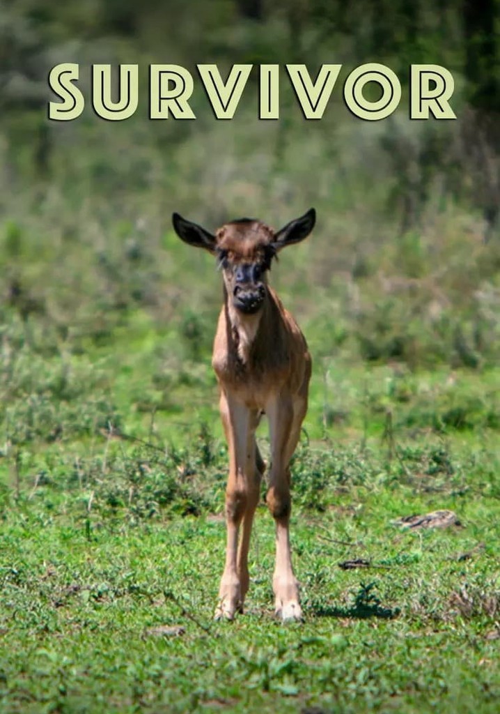 Survivor poster
