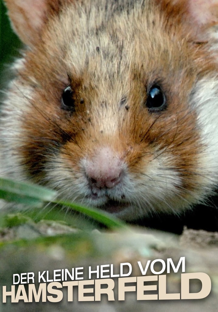 Der kleine Held vom Hamsterfeld poster