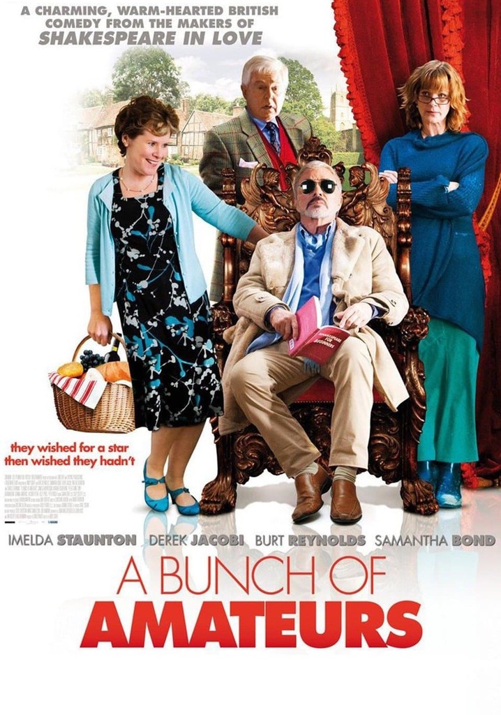 A Bunch of Amateurs poster