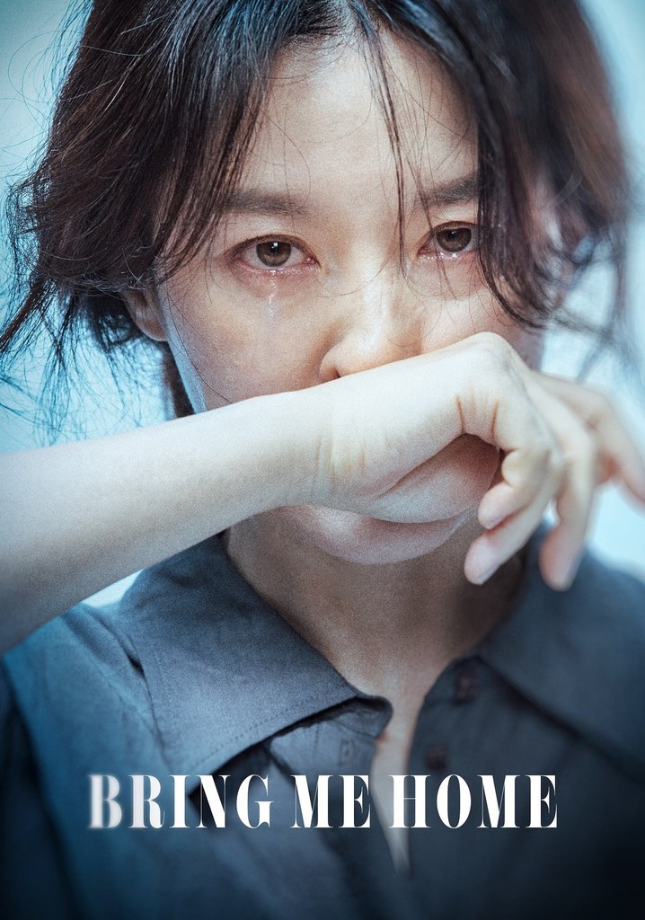 Bring Me Home poster