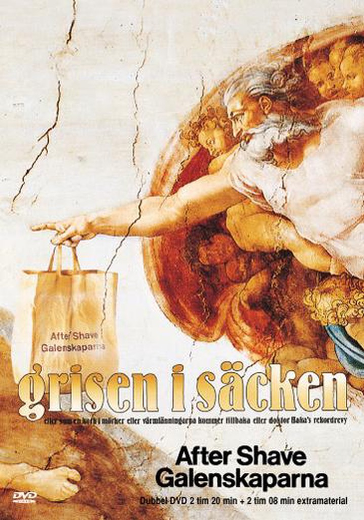 Grisen i säcken poster