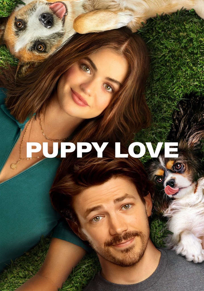 Puppy Love poster