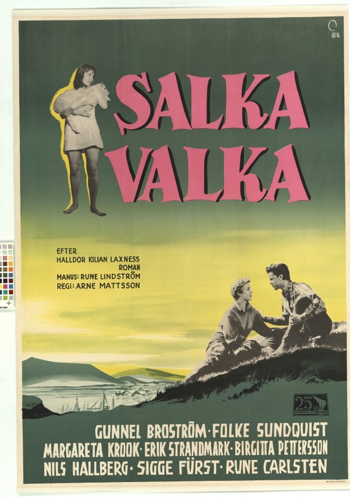 Salka Valka poster