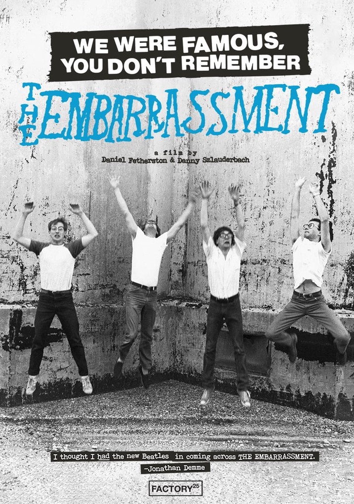 We Were Famous, You Don't Remember: The Embarrassment poster