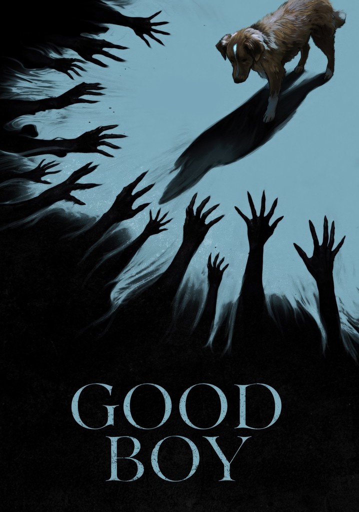 Good Boy poster