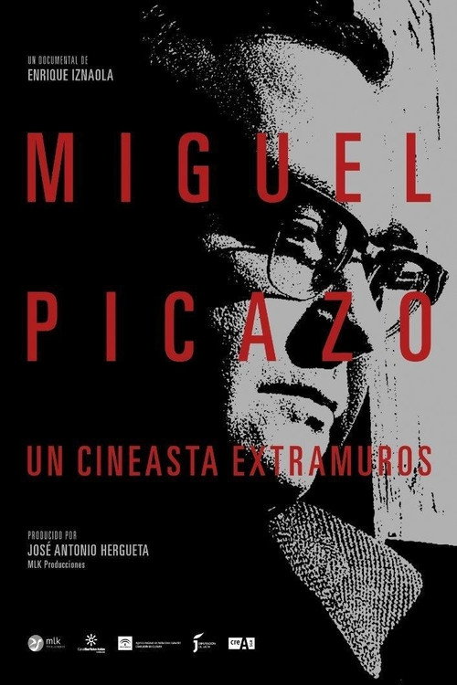 Miguel Picazo, un cineasta extramuros poster