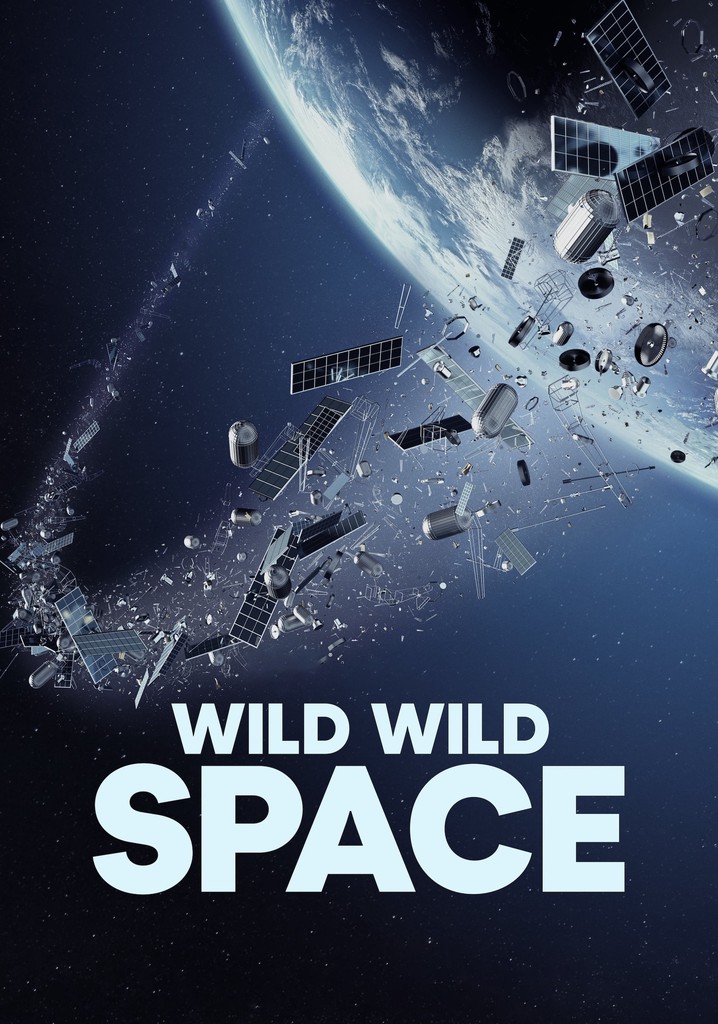 Wild Wild Space poster