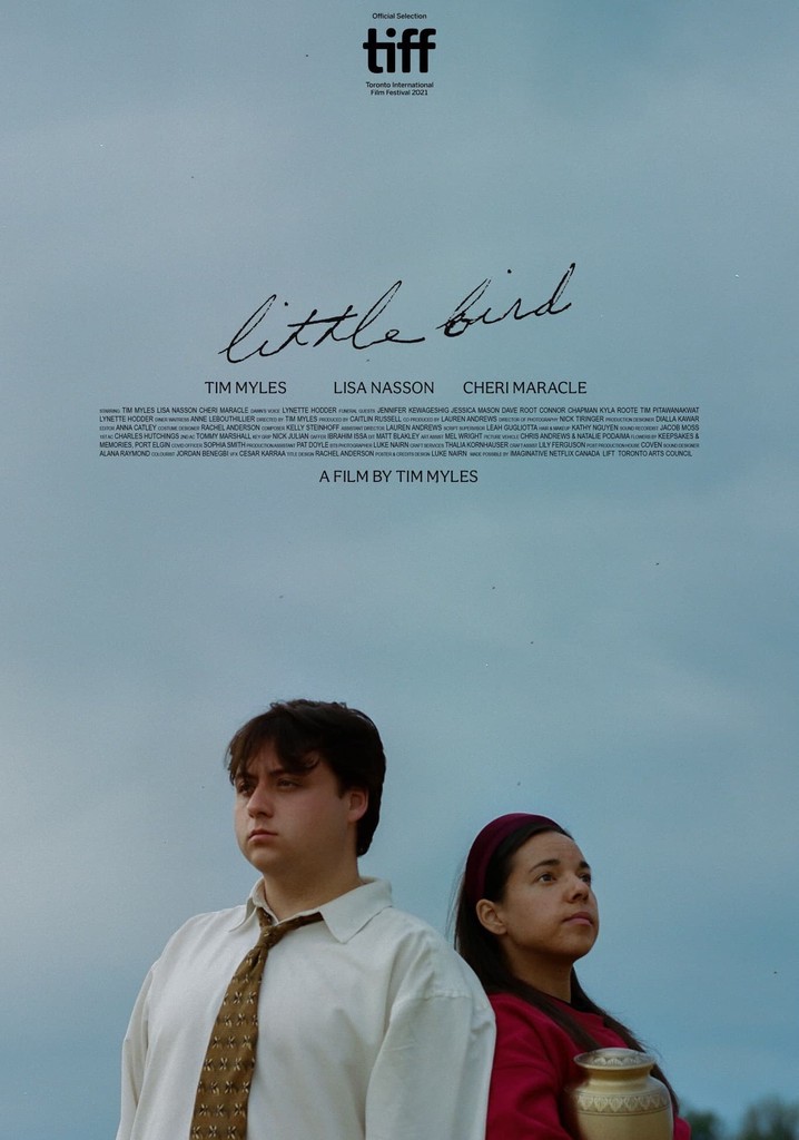 Little Bird poster