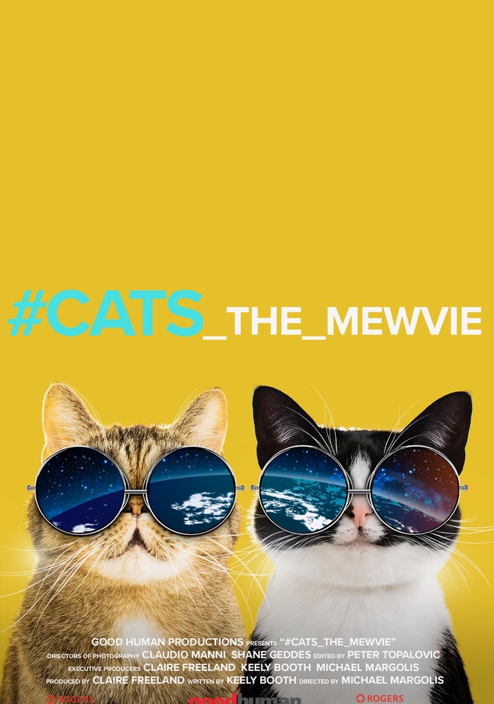 #cats_the_mewvie poster