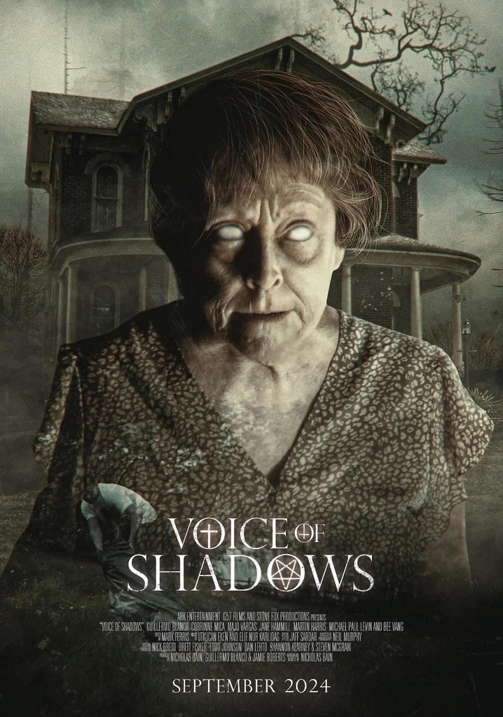 Voice of Shadows poster