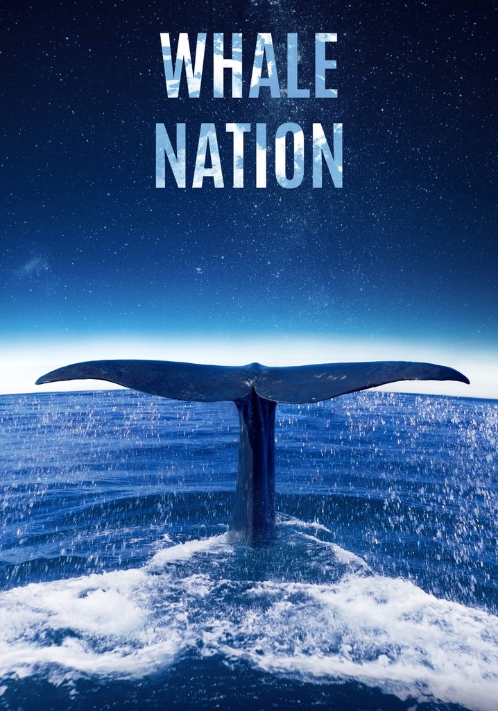 Whale Nation poster