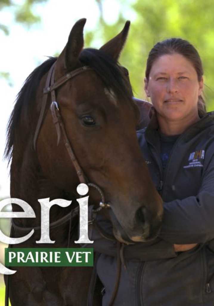 Dr. Keri: Prairie Vet poster