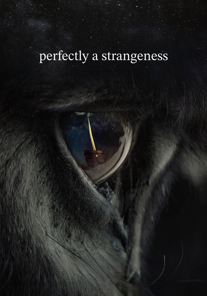 Perfectly a Strangeness poster