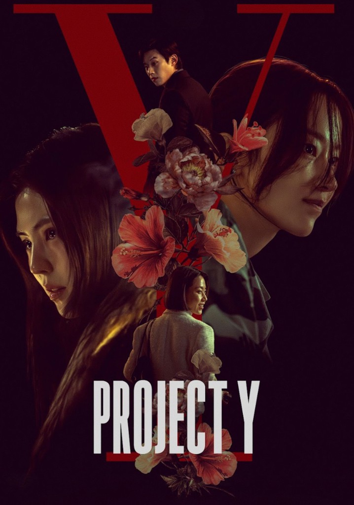 Project Y poster