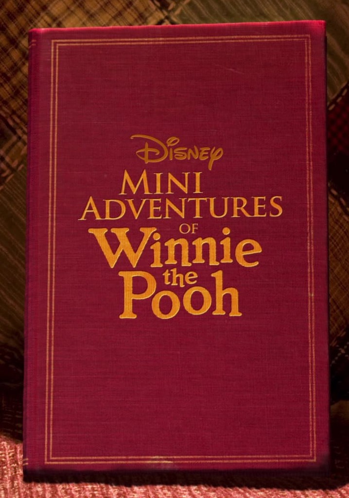Mini Adventures of Winnie the Pooh poster