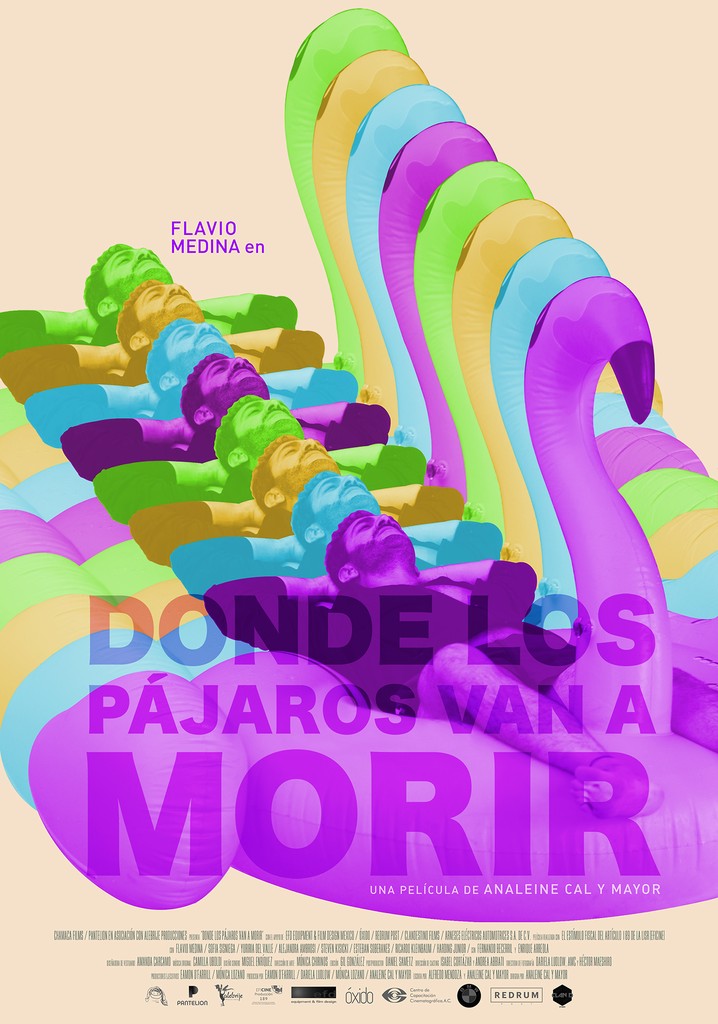 Donde los pájaros van a morir poster