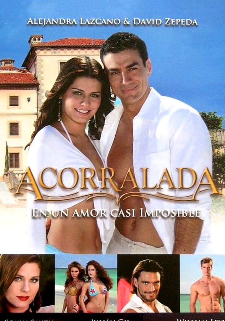 Acorralada poster