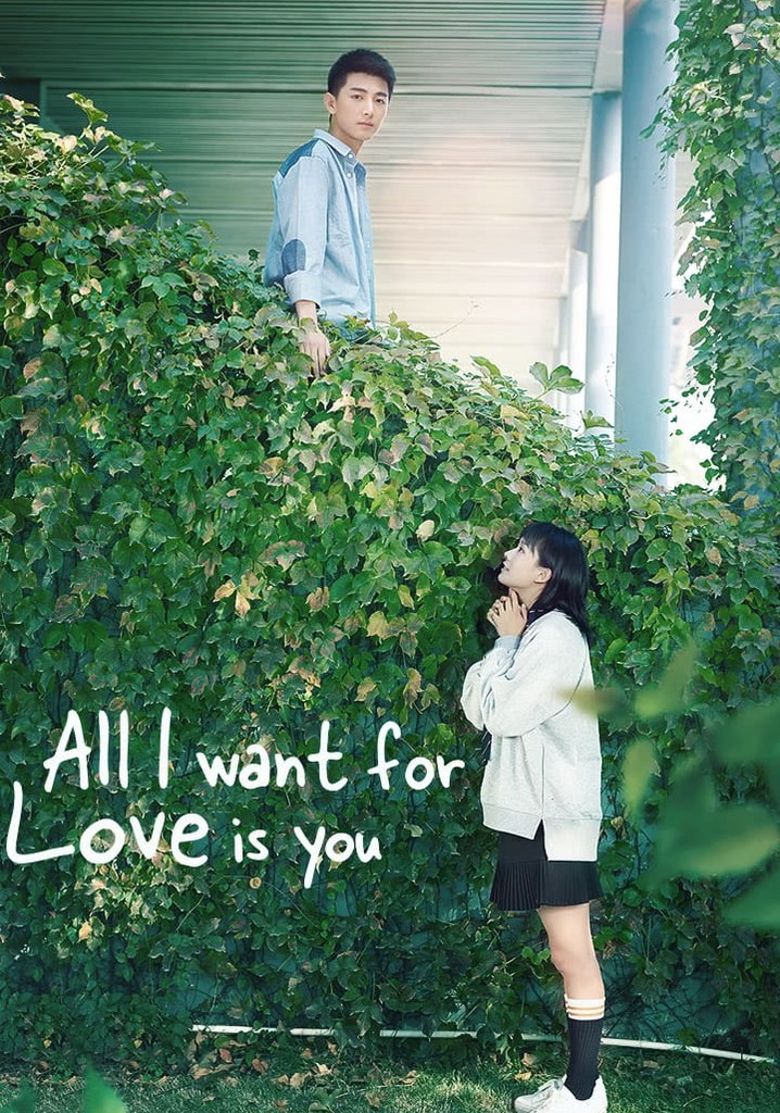 All I Want for Love is You poster